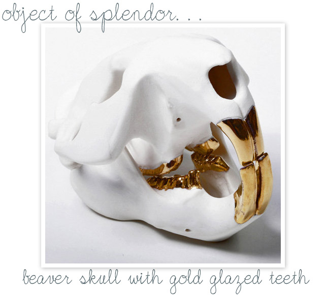Beetle and Flor Beaver Skull Gold Teeth, Smith and Butler NYC